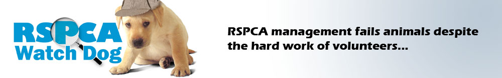 RSPCA watch dog: RSPCA management fails animals despite the hard work of volunteers