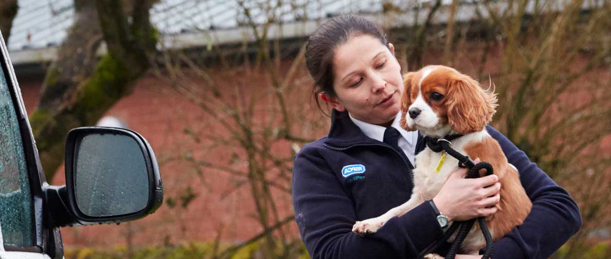 An RSPCA inspector holding a dog closely.