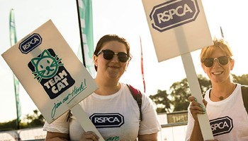 RSPCA volunteers holding Team Cat posters